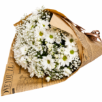 Buquê Notícias de Margaridas