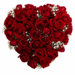 Coração de Rosas Vermelhas