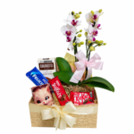 Box Orquídea do Carinho
